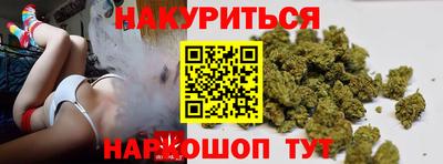 прущие грибы Ставрополь