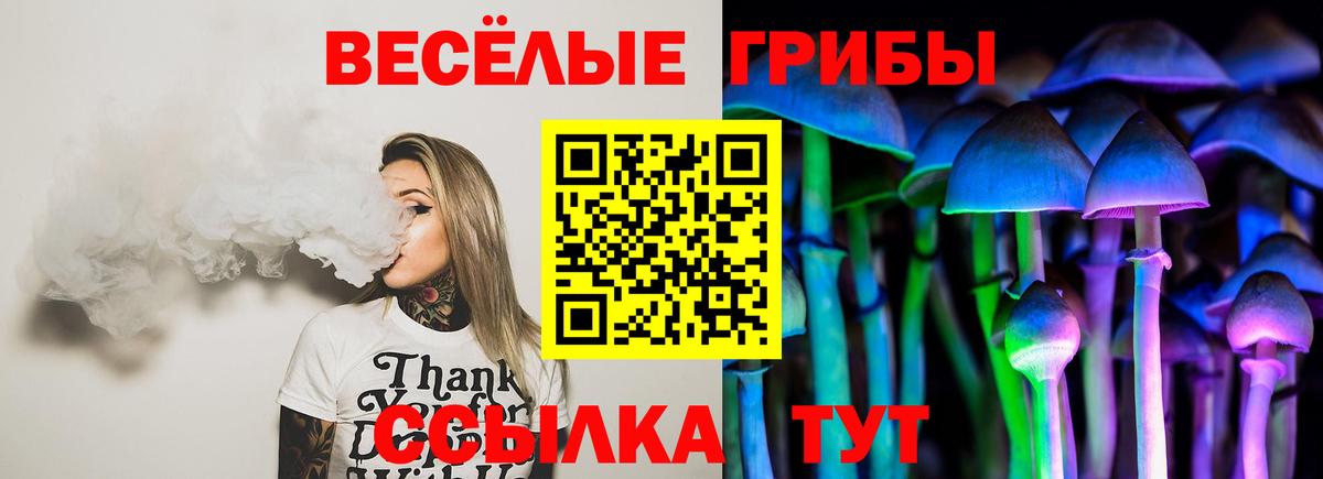 Ноябрьск  Псилоцибиновые грибы ЛСД  Вход с VPN 